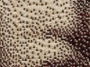Su Series Spot Face-detail